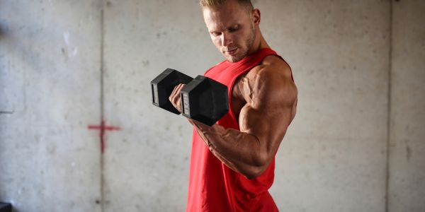 Može li se trenirati vrh bicepsa?