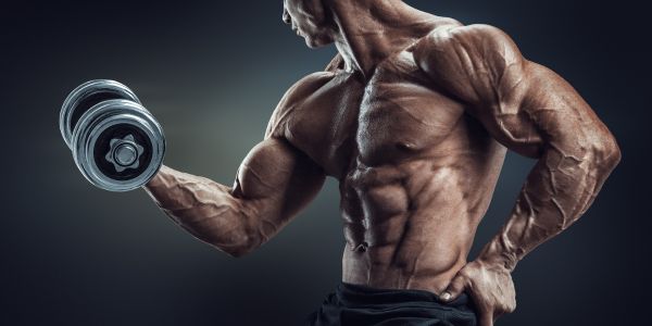 Bodybuilding trening za početnike