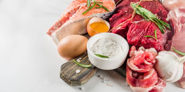 Kako izgleda dnevni carnivore jelovnik?