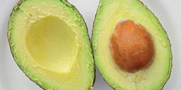 avokado