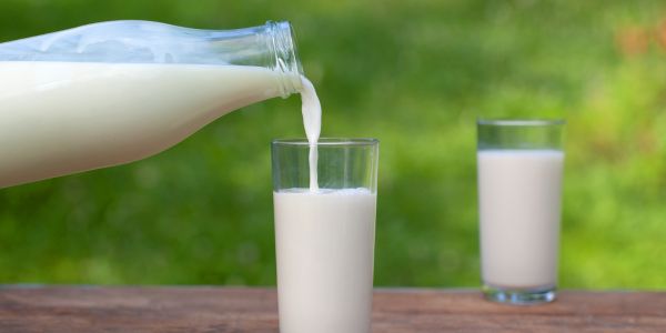 GOMAD dijeta - ekstreman put do brzih kilograma