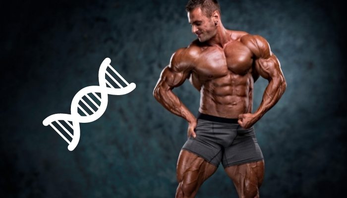 Koliko je važna genetika u bodybuildingu?