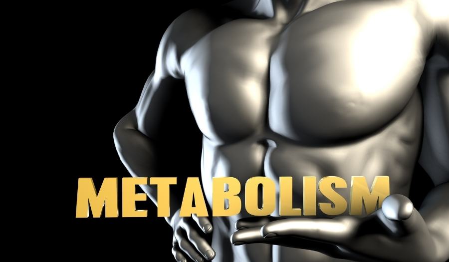 Prilagodite treninge i prehranu vašem tipu metabolizma
