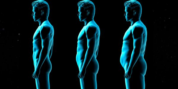 Što znamo o ektomorf, endomorf i mezomorf tijelima?