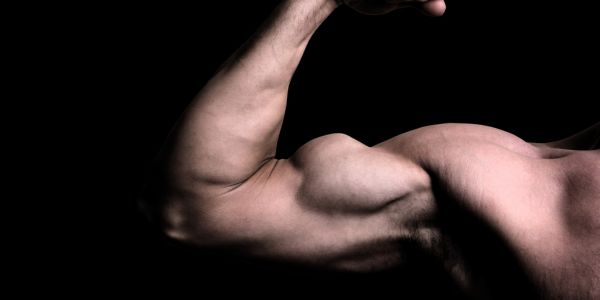 Top 5 najboljih vježbi za biceps