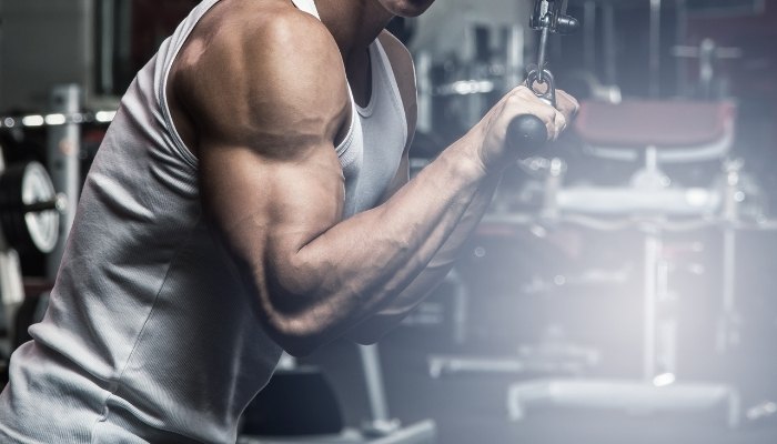 Kako izgraditi veći triceps?