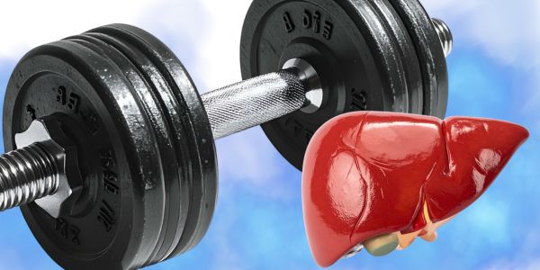 Je li trening utezima zdrav za jetru?