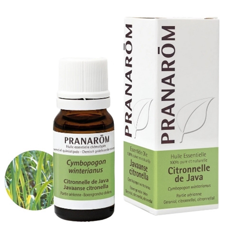 Pranarom Citronela Javanska Eterično ulje 10 ml